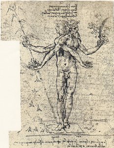 unknown drawing of androgyn corpus with two heads